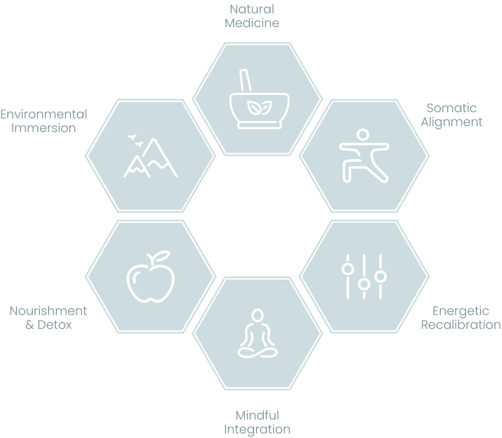 a diagram of different types of health