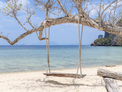a swing from a tree on a beach