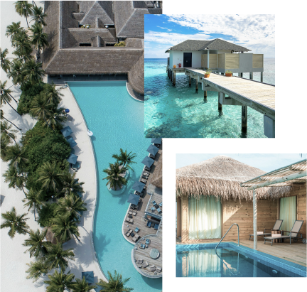 a pool and a house on stilts