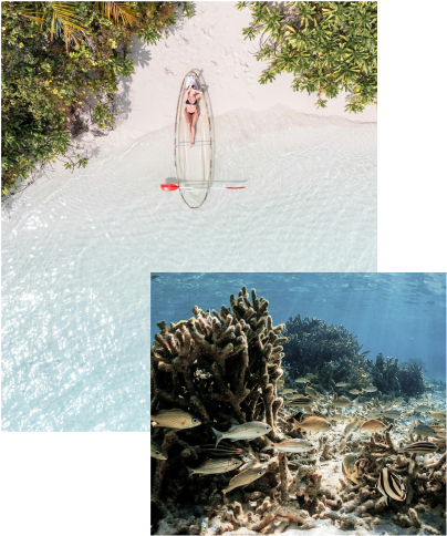 a woman in a garment in a kayak on a beach with fish and coral