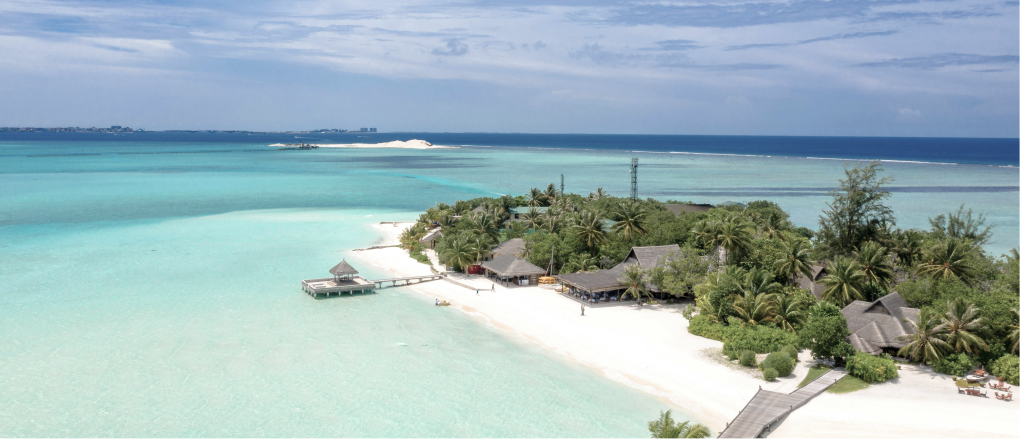 a beach with buildings and trees