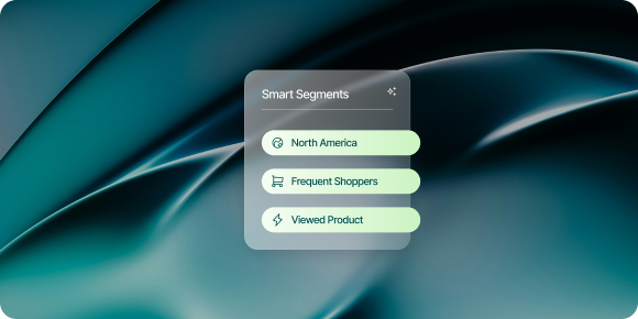 a screenshot of a smart segmentation