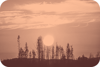 Landscape Color Of The Year 1