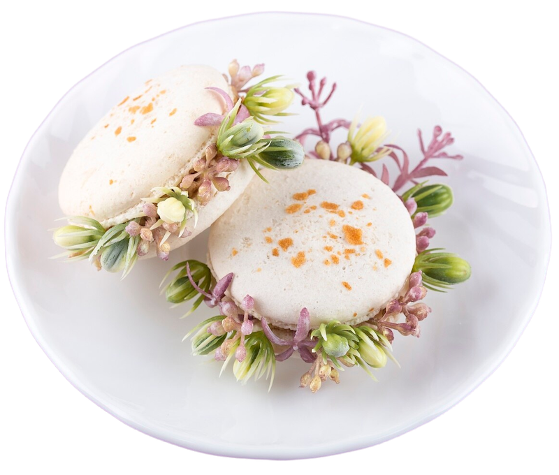 macarons with flower