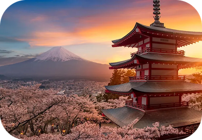 a pagoda with cherry blossoms in front of a mountain
