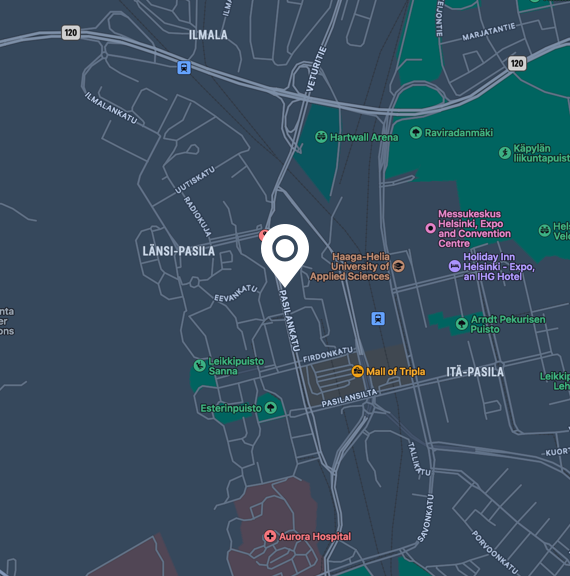 cat with Christmas Decoration