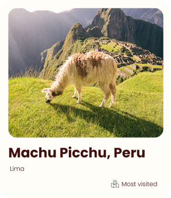 a llama eating grass on a mountain