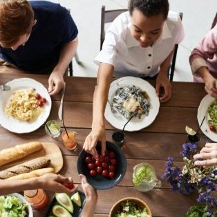 Independence Day Model