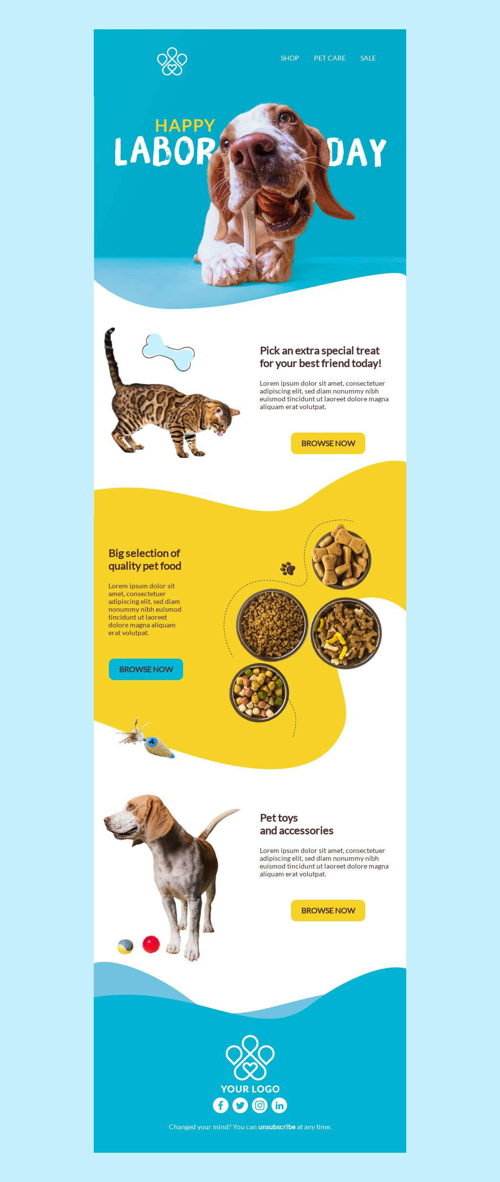 Pet Shop Labor Day Offer