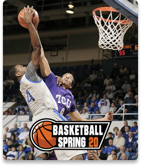 Basketball Spring Image