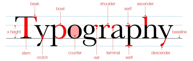 Anatomy of Type Placeholder