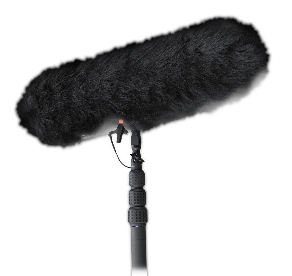 Microphone Placeholder
