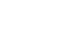 Speed Icon