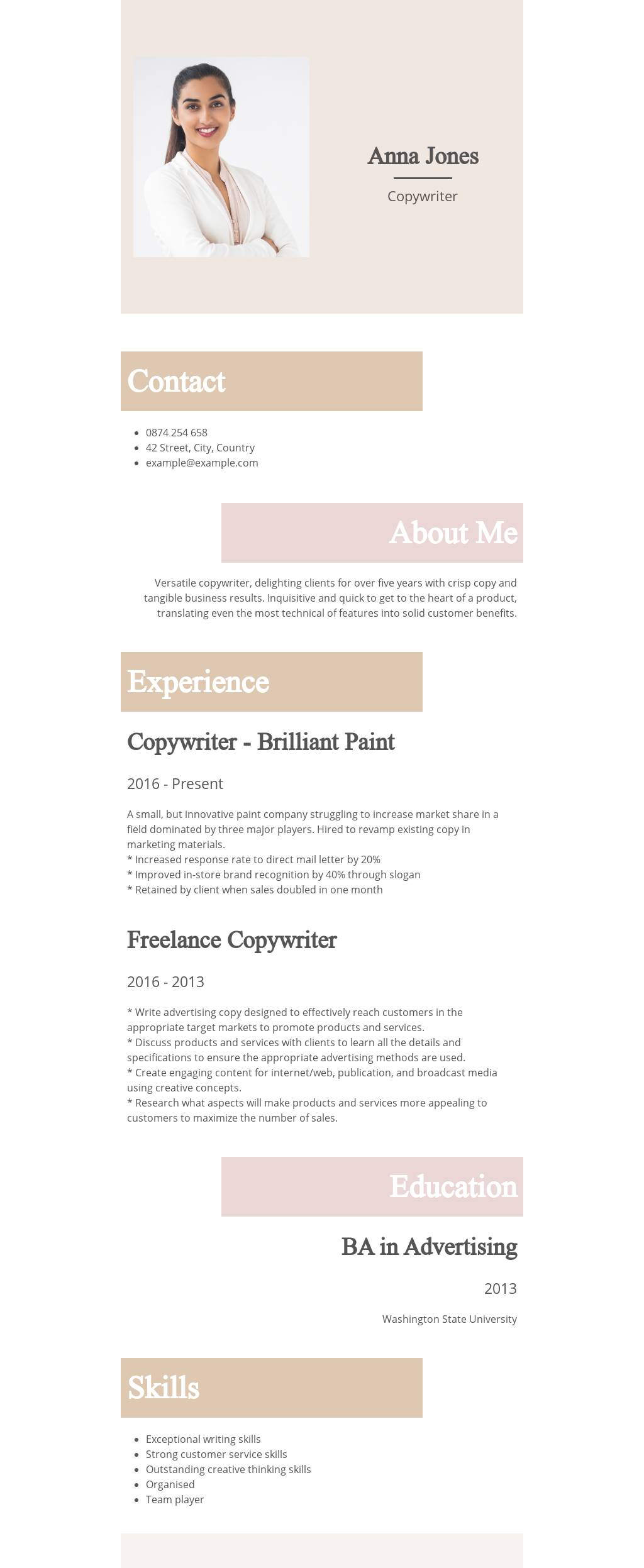 Zig Zag Design Resume