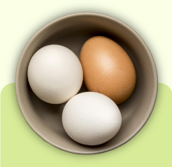 Eggs Photo