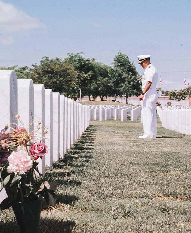 Military picture