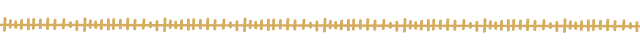 Divider Design Element