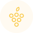 Grapes Icon Image