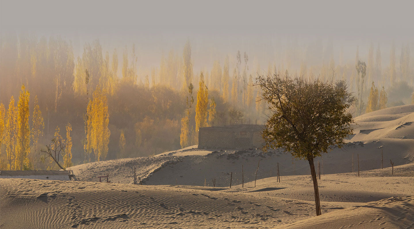 Sand Desert At Skardu