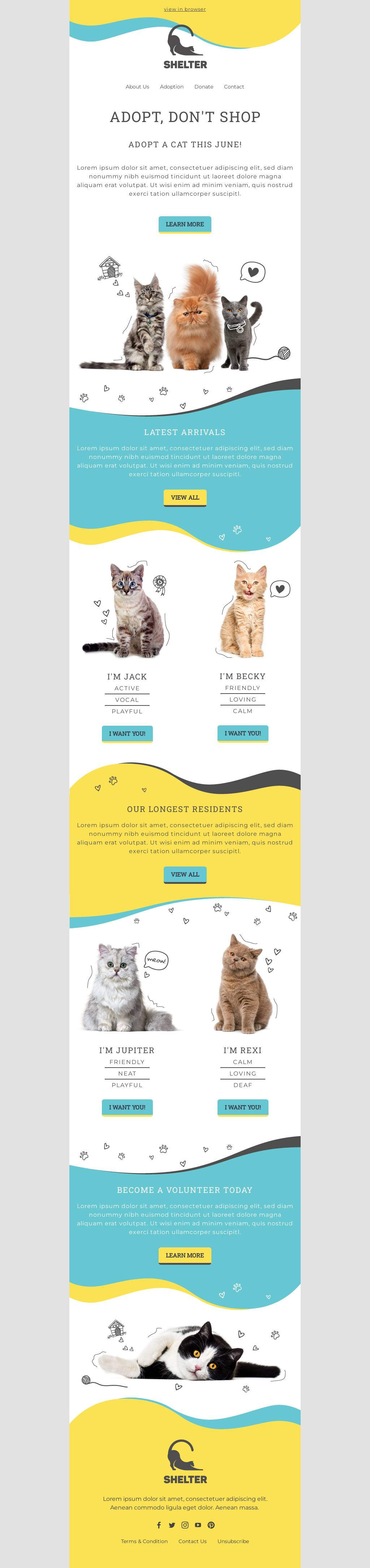 Adopt a Cat this June!