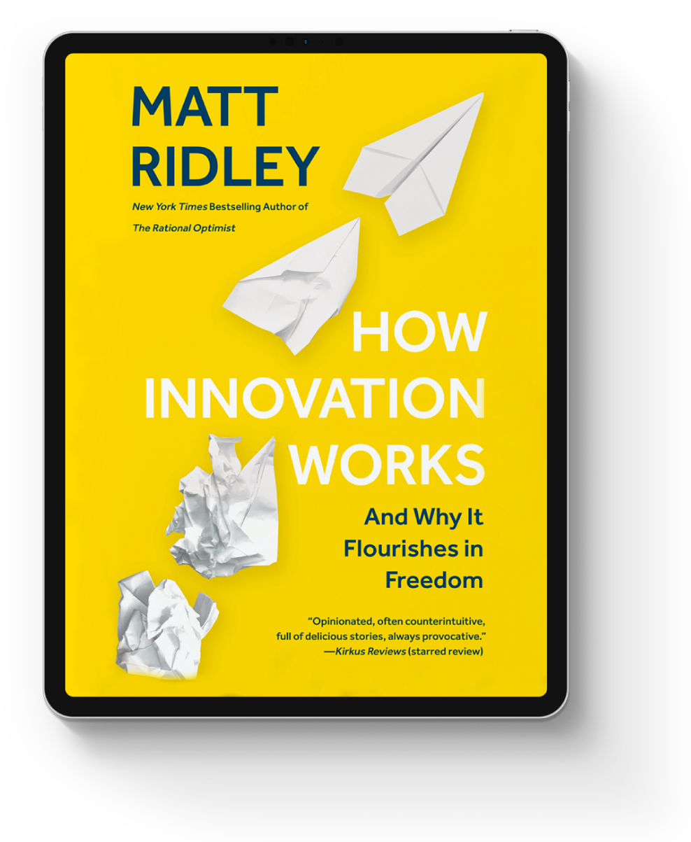 eBook Cover Mockup Placeholder