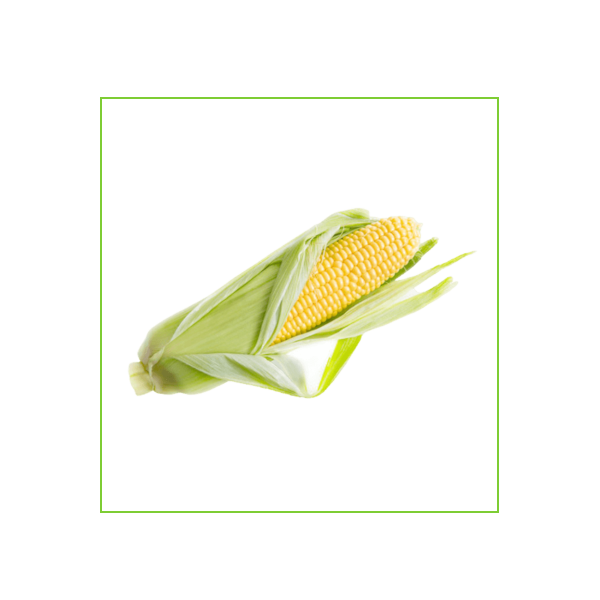 corn