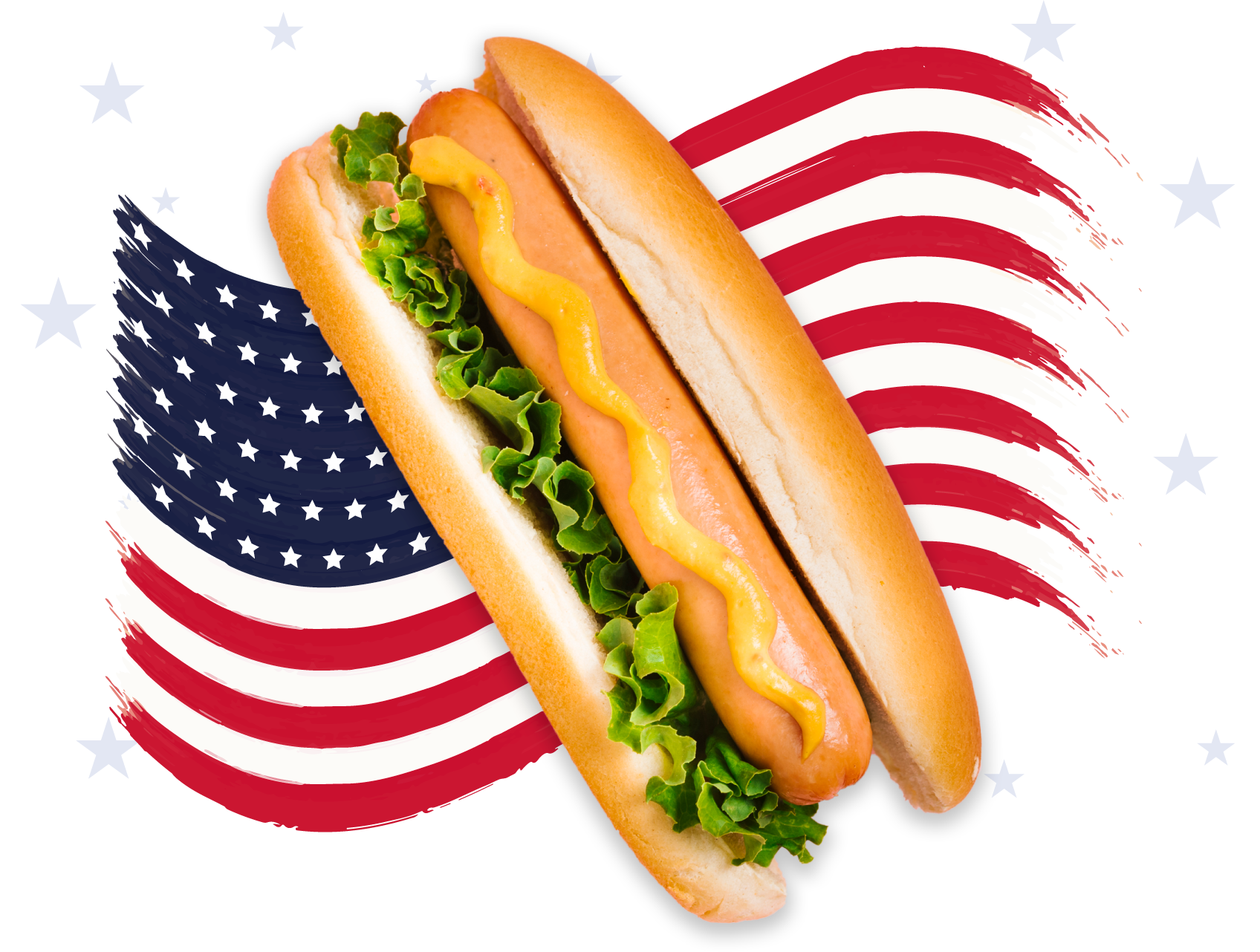 Independence Day Banner Image