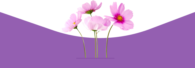 Flower at the Bottom