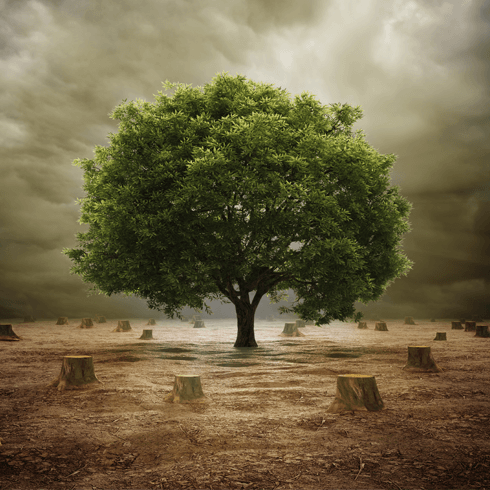 Protect Nature