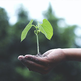 Let’s green our cities