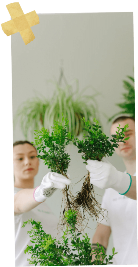 People with plants