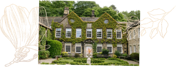 Image of a house with greenery