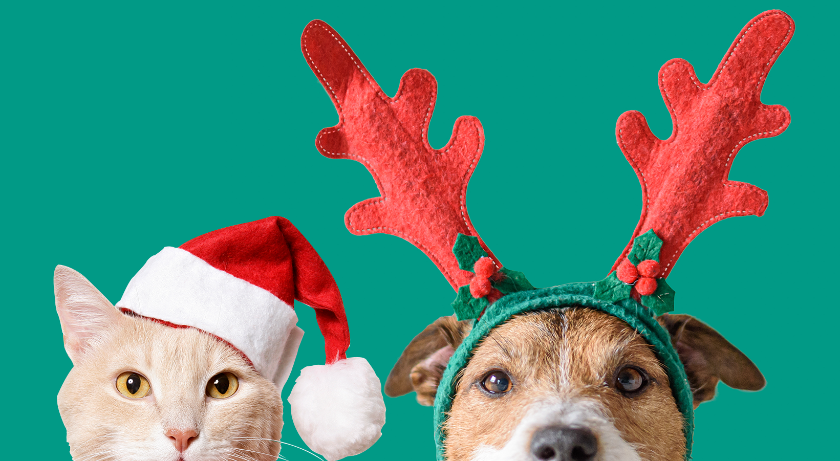 Pets Placeholder Banner