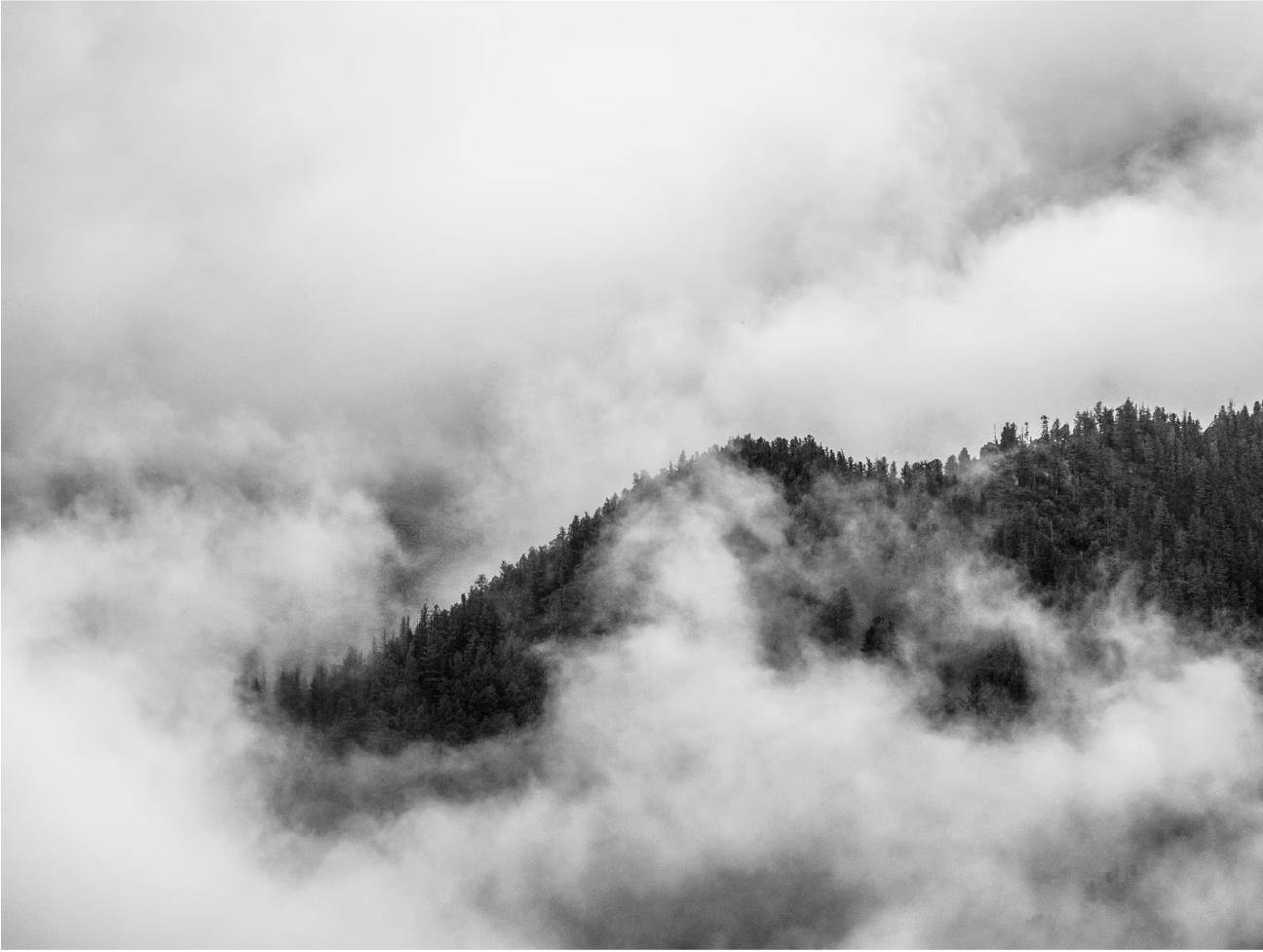 Exhibition Piece Placeholder