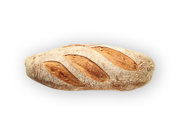 Bread