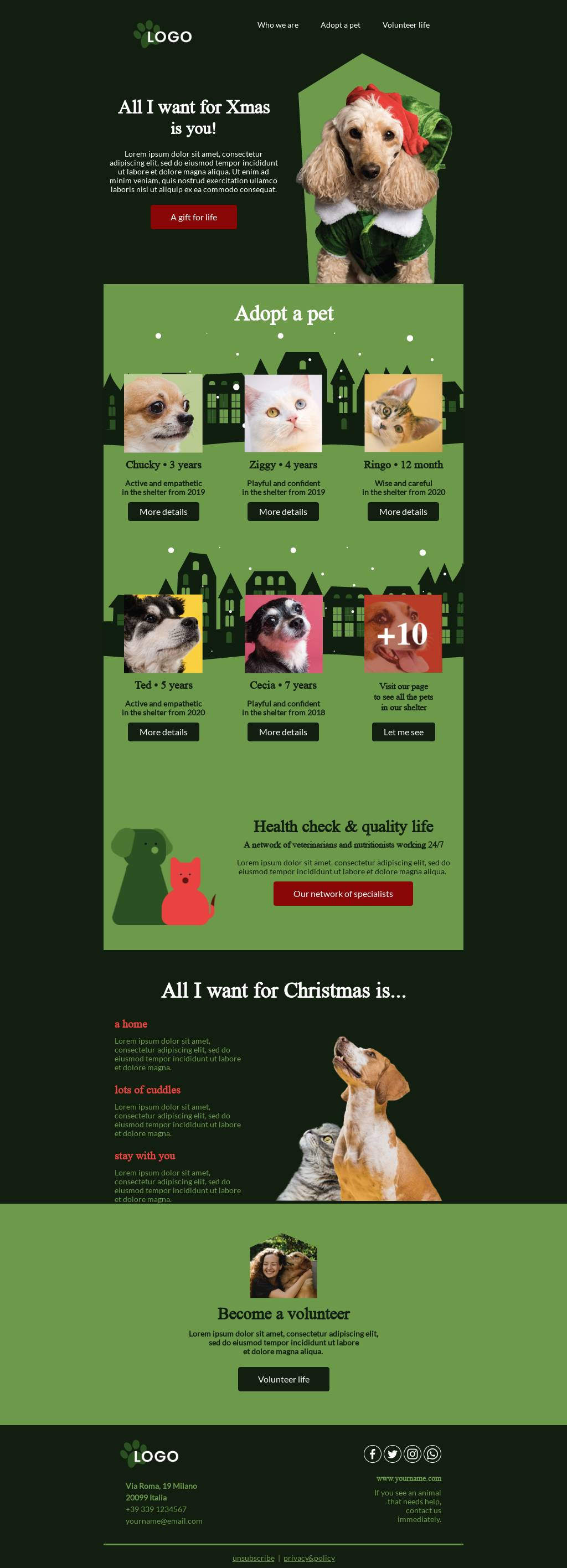 Rescue a pet for Christmas
