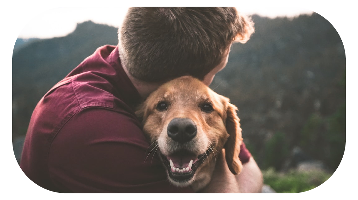 adopting