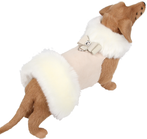 Warmy dog jacket