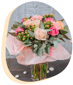 Pink Roses Photo