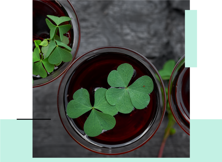 Shamrocks In A Drink Photo