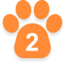 Number Image