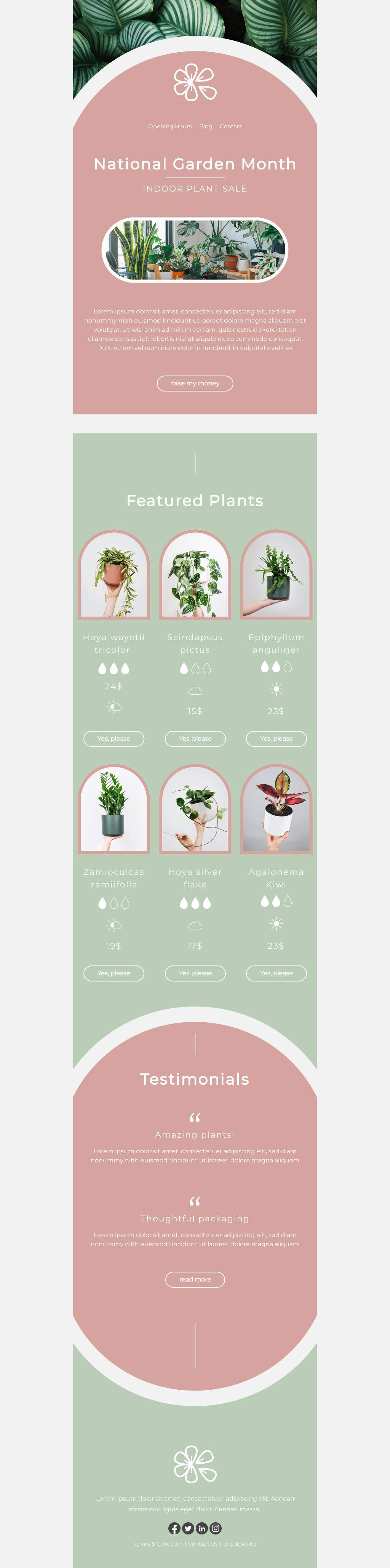 Indoor Plant Sale