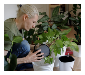 Man taking care of plants