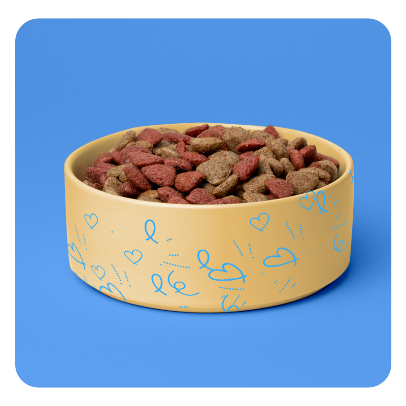 Pet Food Image