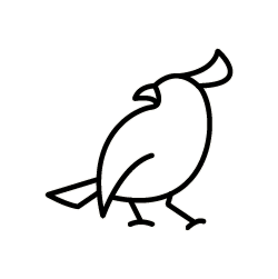Bird Icon