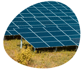 Solar Panels In Field