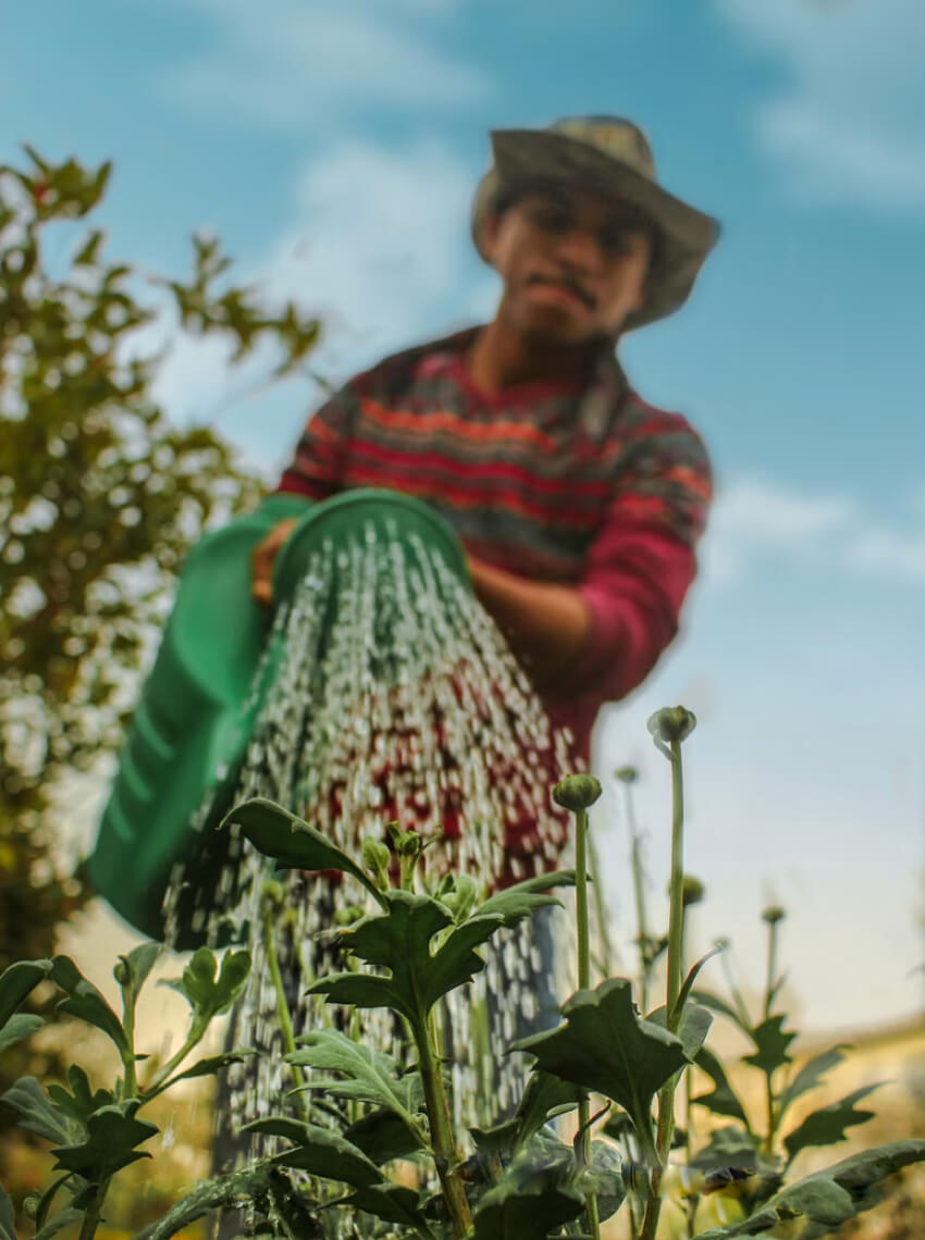 gardening