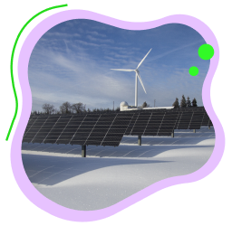 Solar Panels/Nature Photo