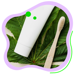 Bamboo Toothbrushes Photo