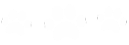 Paw prints
